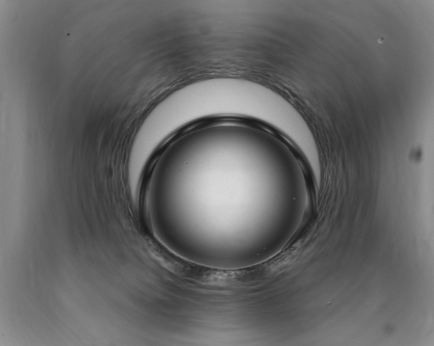 X0000090770084200707201447