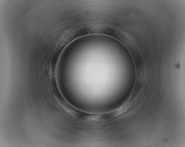 X0000090770086200707201448