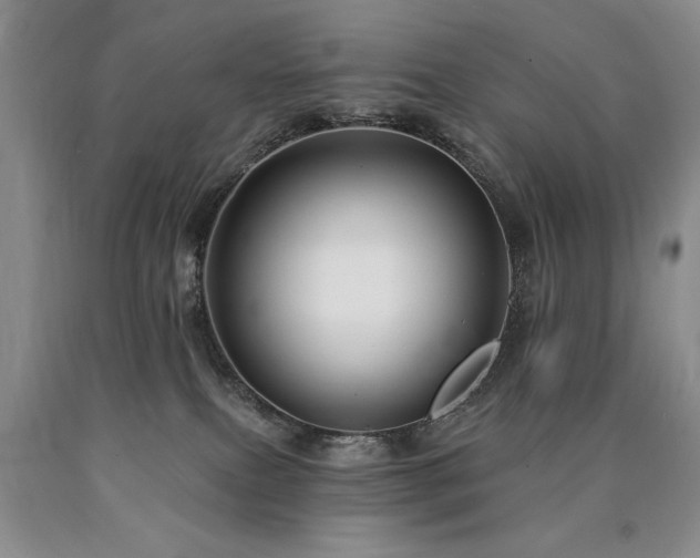 X0000090770087200707201448