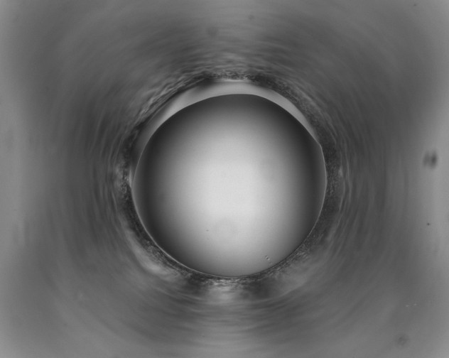 X0000090770088200707201448