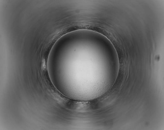 X0000090770089200707201448