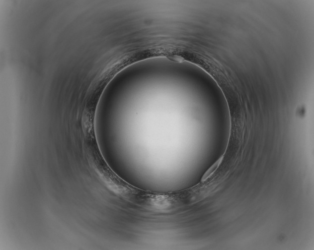 X0000090770091200707201448