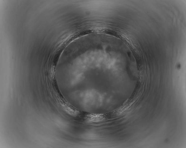 X0000090770093200707201448