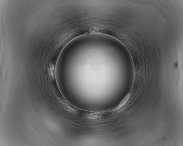 X0000090770094200707201448