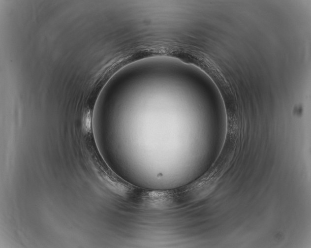 X0000090770095200707201448