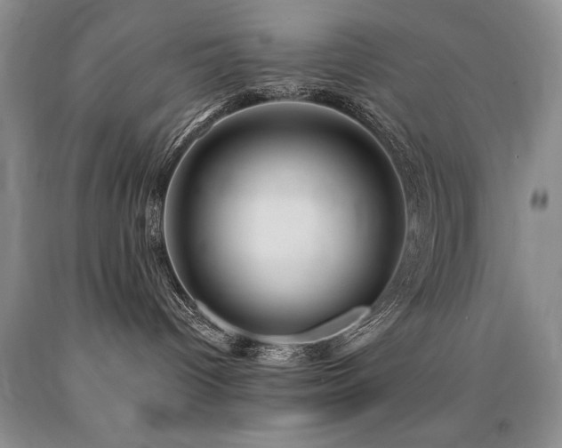 X0000090770096200707201448