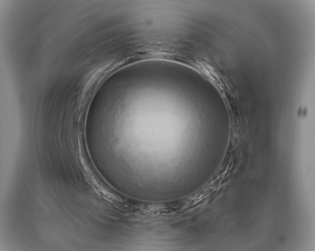 X0000090770097200707201447