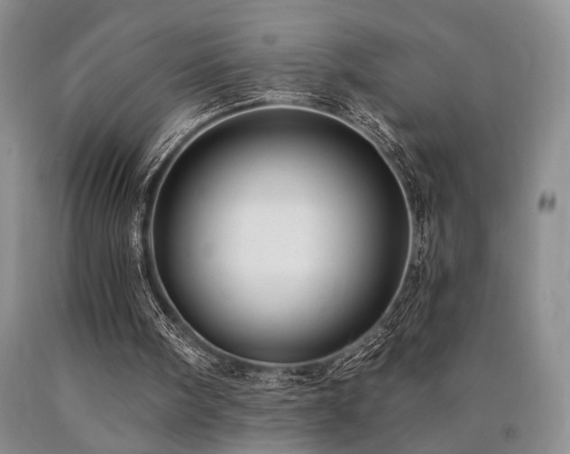 X0000090770098200707201447