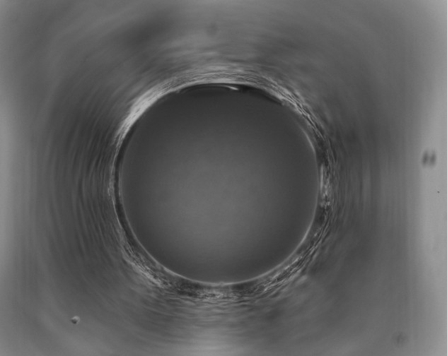 X0000090770099200707201447