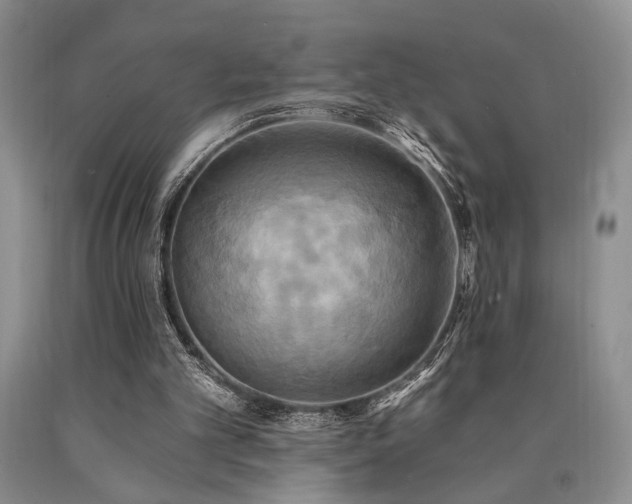 X0000090770101200707201447