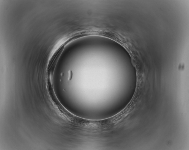 X0000090770102200707201447