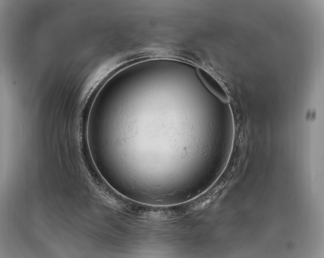X0000090770103200707201447