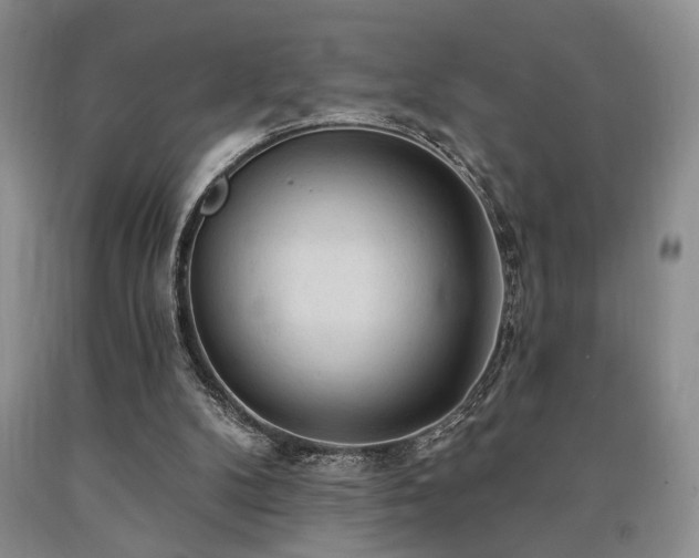 X0000090770104200707201447