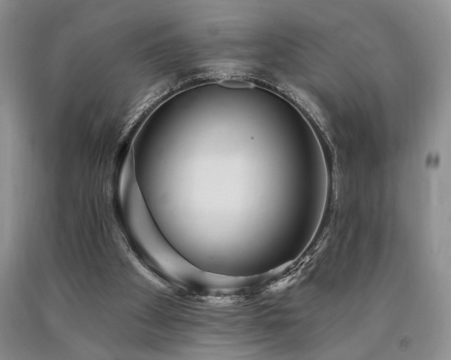 X0000090770105200707201447
