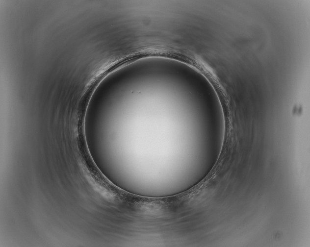 X0000090770106200707201447