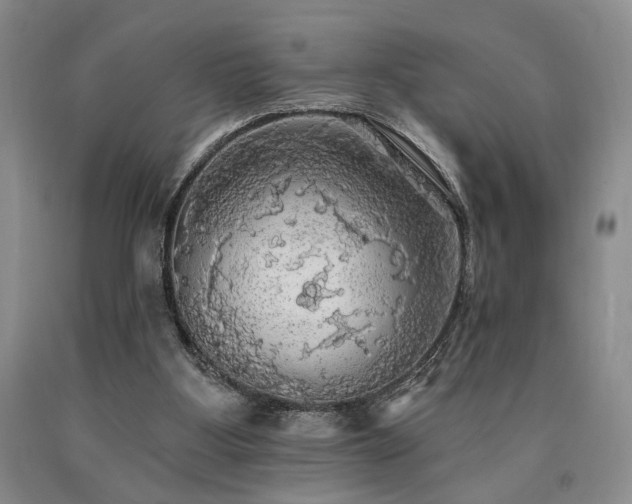 X0000090770107200707201447