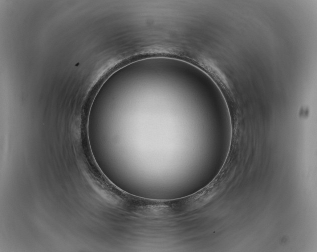 X0000090770108200707201447