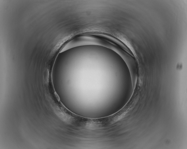 X0000090770109200707201447