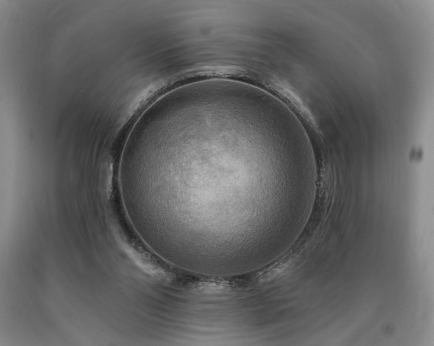 X0000090770110200707201447
