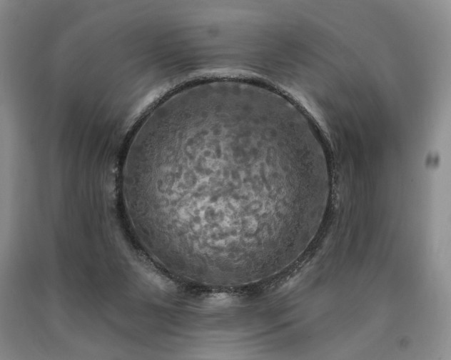 X0000090770111200707201447