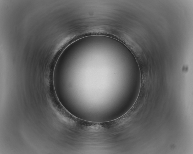 X0000090770112200707201447