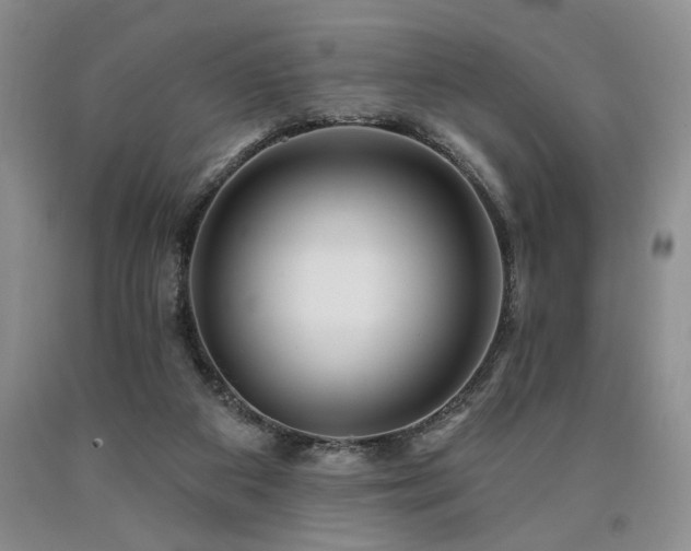 X0000090770113200707201447