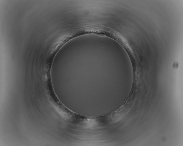 X0000090770114200707201447