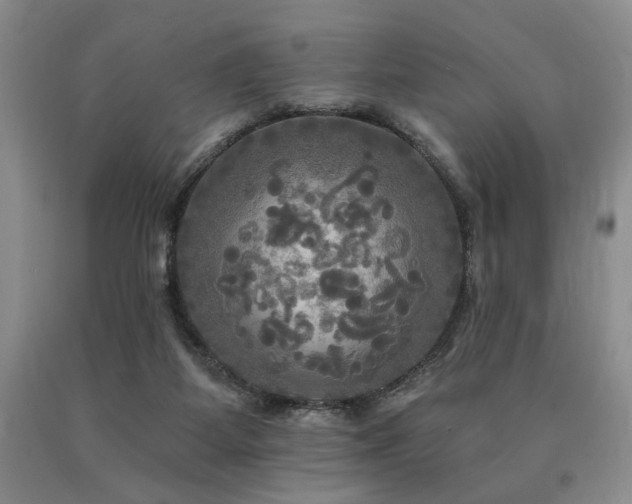 X0000090770115200707201447