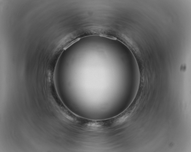 X0000090770117200707201447