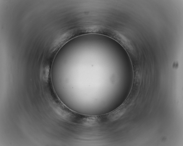 X0000090770118200707201447