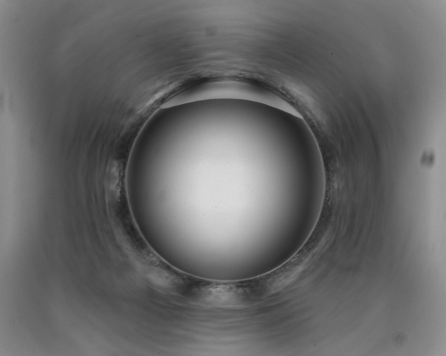 X0000090770121200707201447