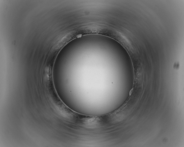 X0000090770122200707201447
