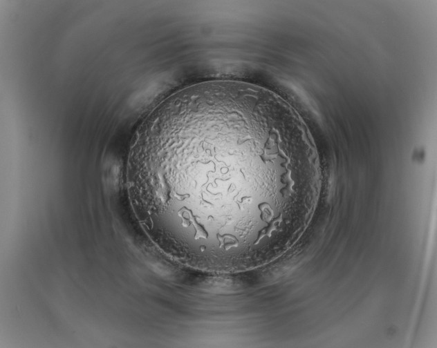 X0000090770123200707201447