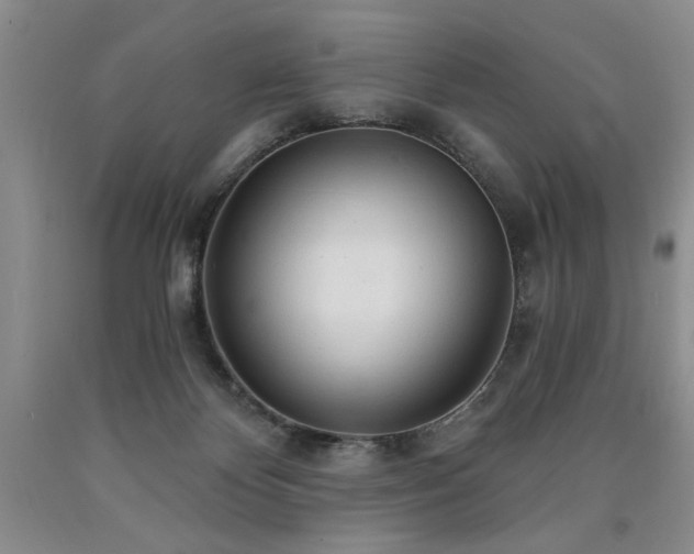 X0000090770124200707201447