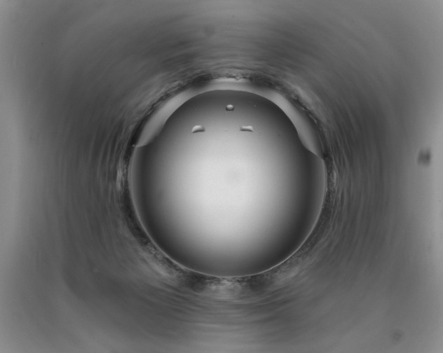 X0000090770125200707201447