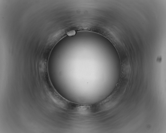 X0000090770126200707201447