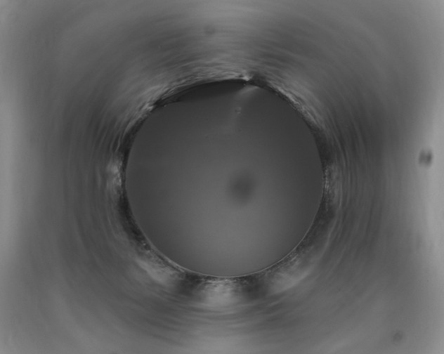 X0000090770127200707201447
