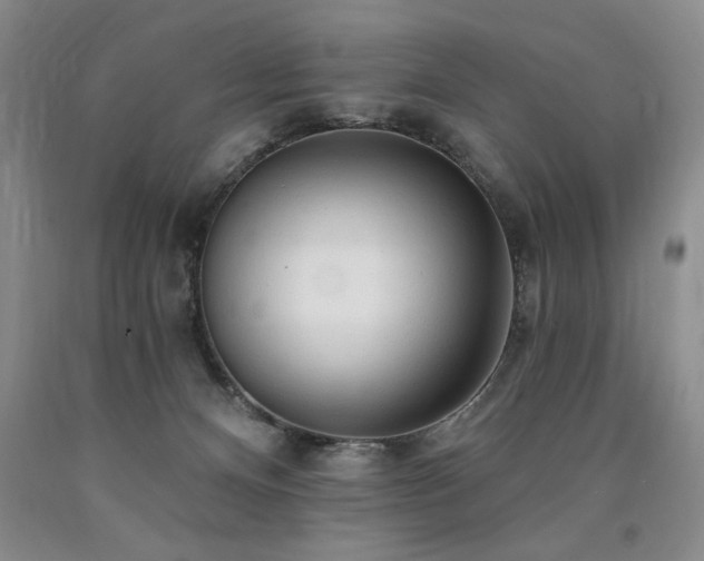 X0000090770128200707201447