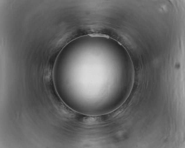 X0000090770129200707201447