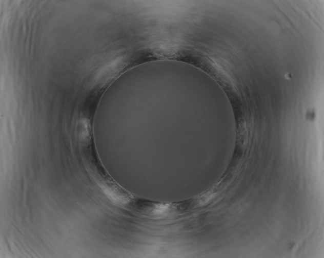 X0000090770130200707201447