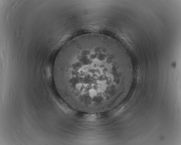 X0000090770131200707201447