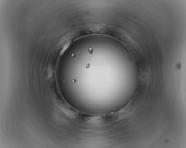X0000090770132200707201447