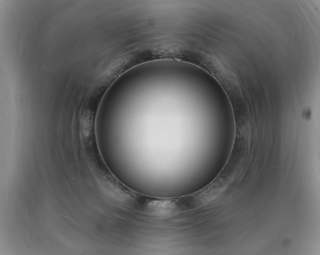 X0000090770133200707201447