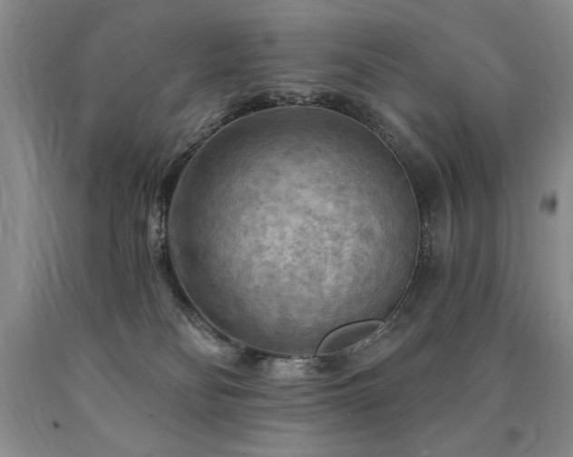 X0000090770134200707201447