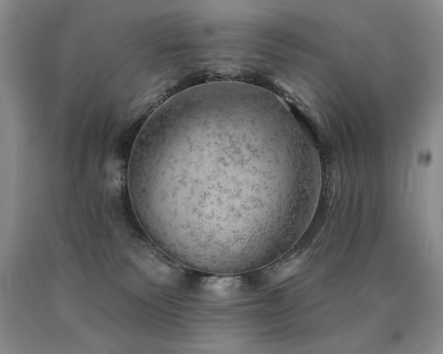 X0000090770135200707201447