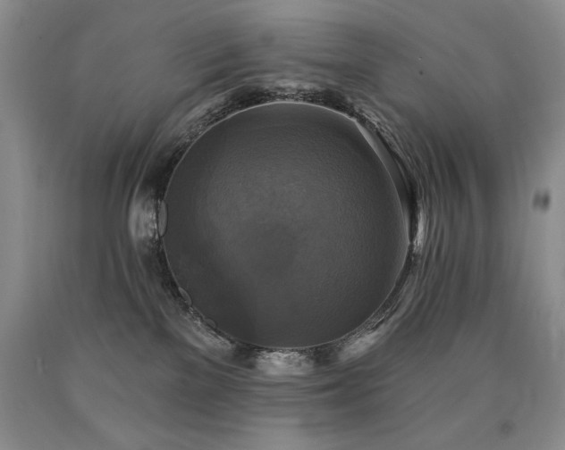 X0000090770137200707201447