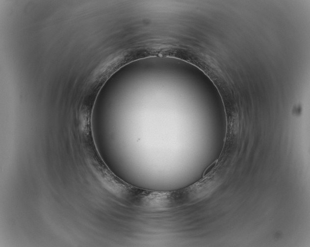 X0000090770138200707201447