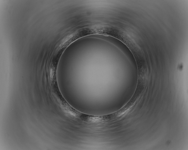 X0000090770139200707201446