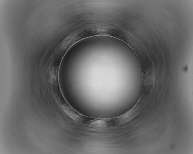 X0000090770140200707201446