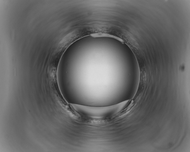 X0000090770141200707201446